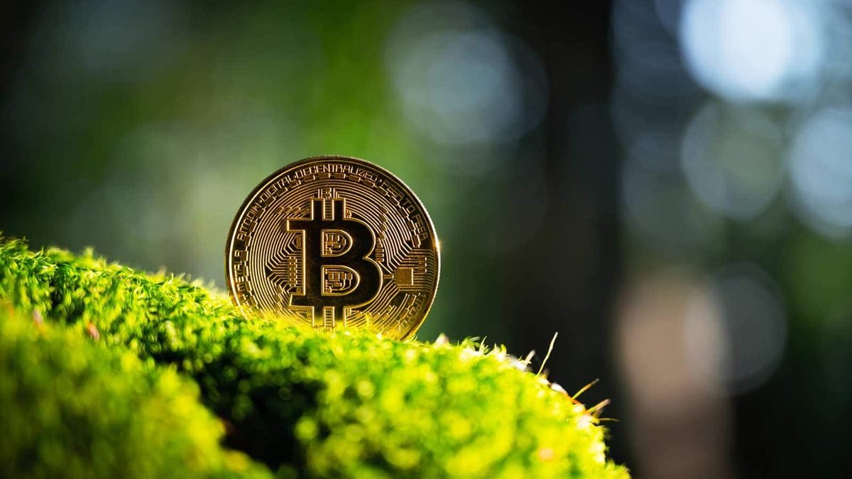 Krypto-Hub » Finanzwissen