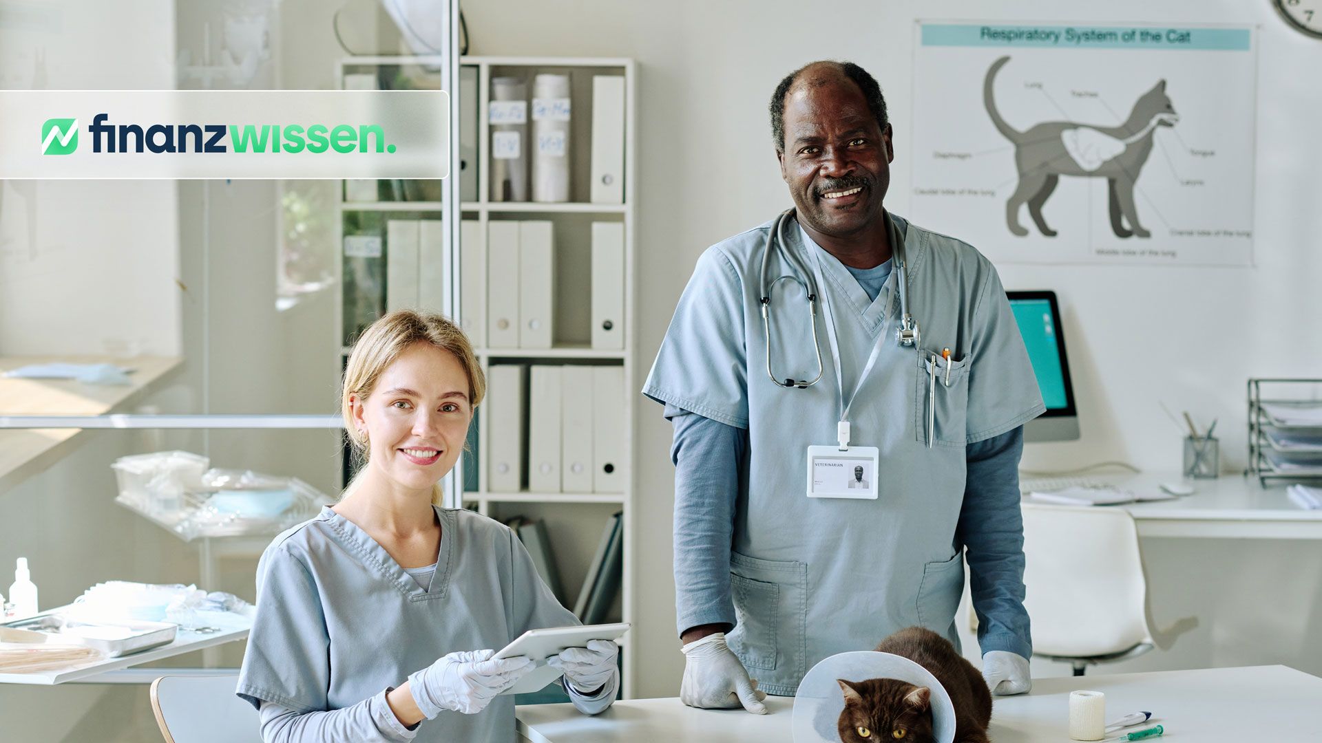 Wann lohnt sich eine Tierkrankenversicherung? Tierärzte behandeln Katze in ihrer Praxis