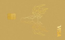 VISA Card VISA Card Abbildung