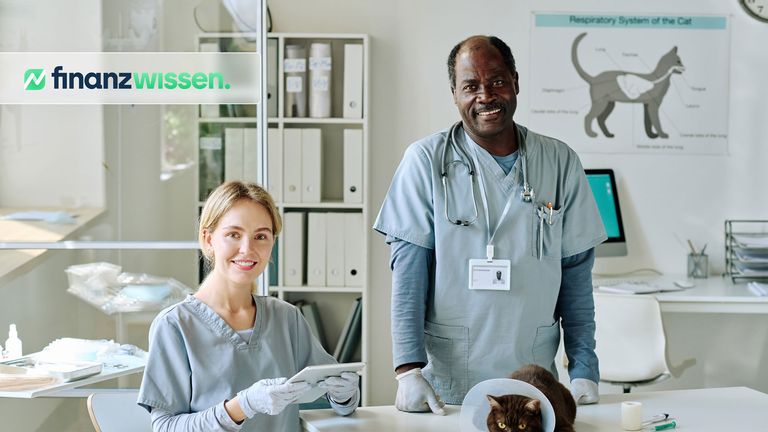 Tierärzte behandeln Katze in ihrer Praxis